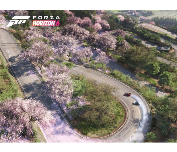 Xbox Forza Horizon 6 - 1486982 - zdjęcie 4